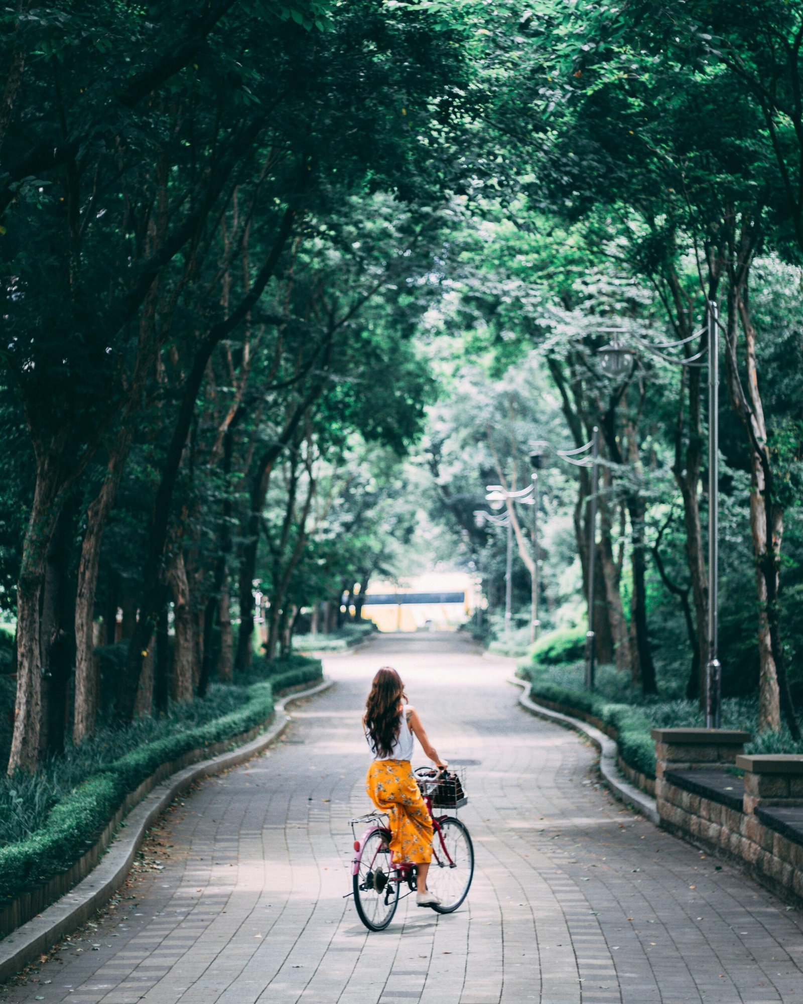 A woman rides a vintage bicycle along a tree-lined park path in summer.